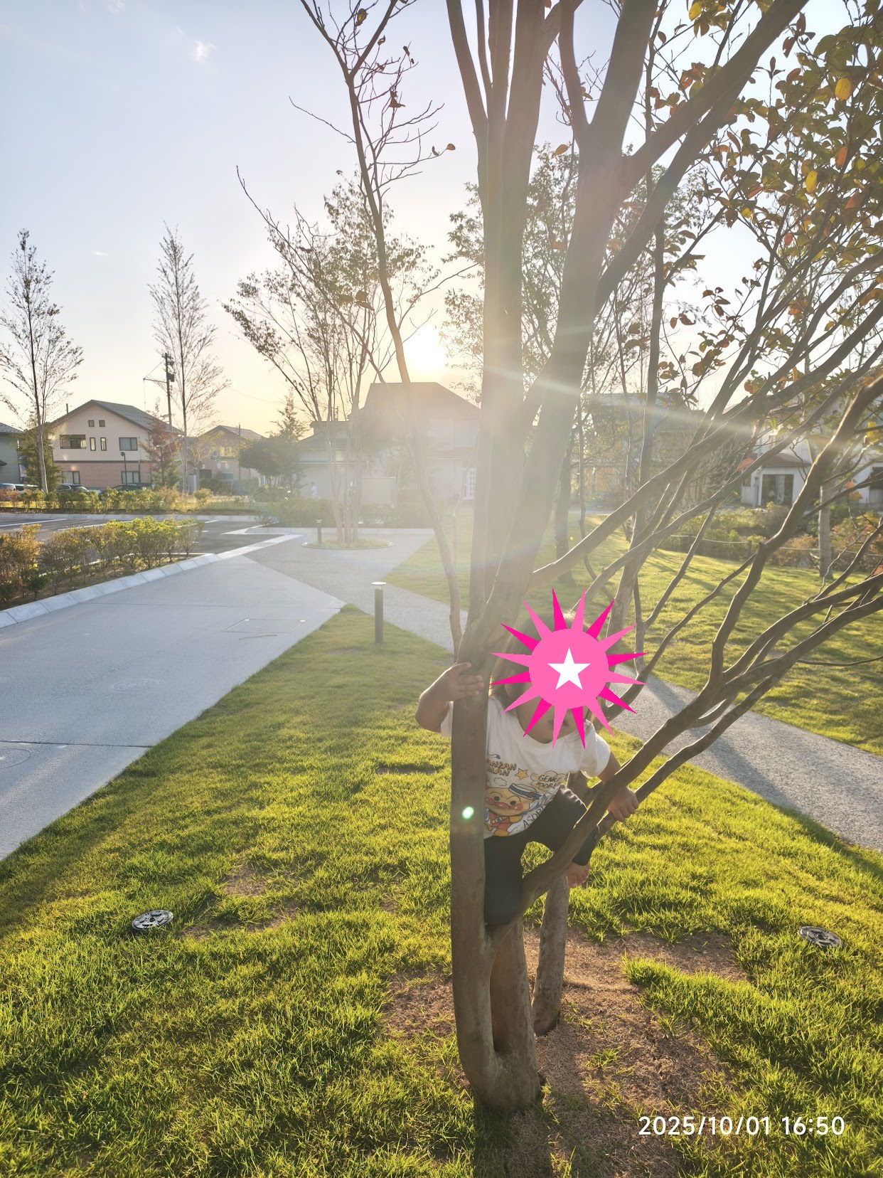 普段の遊びの様子