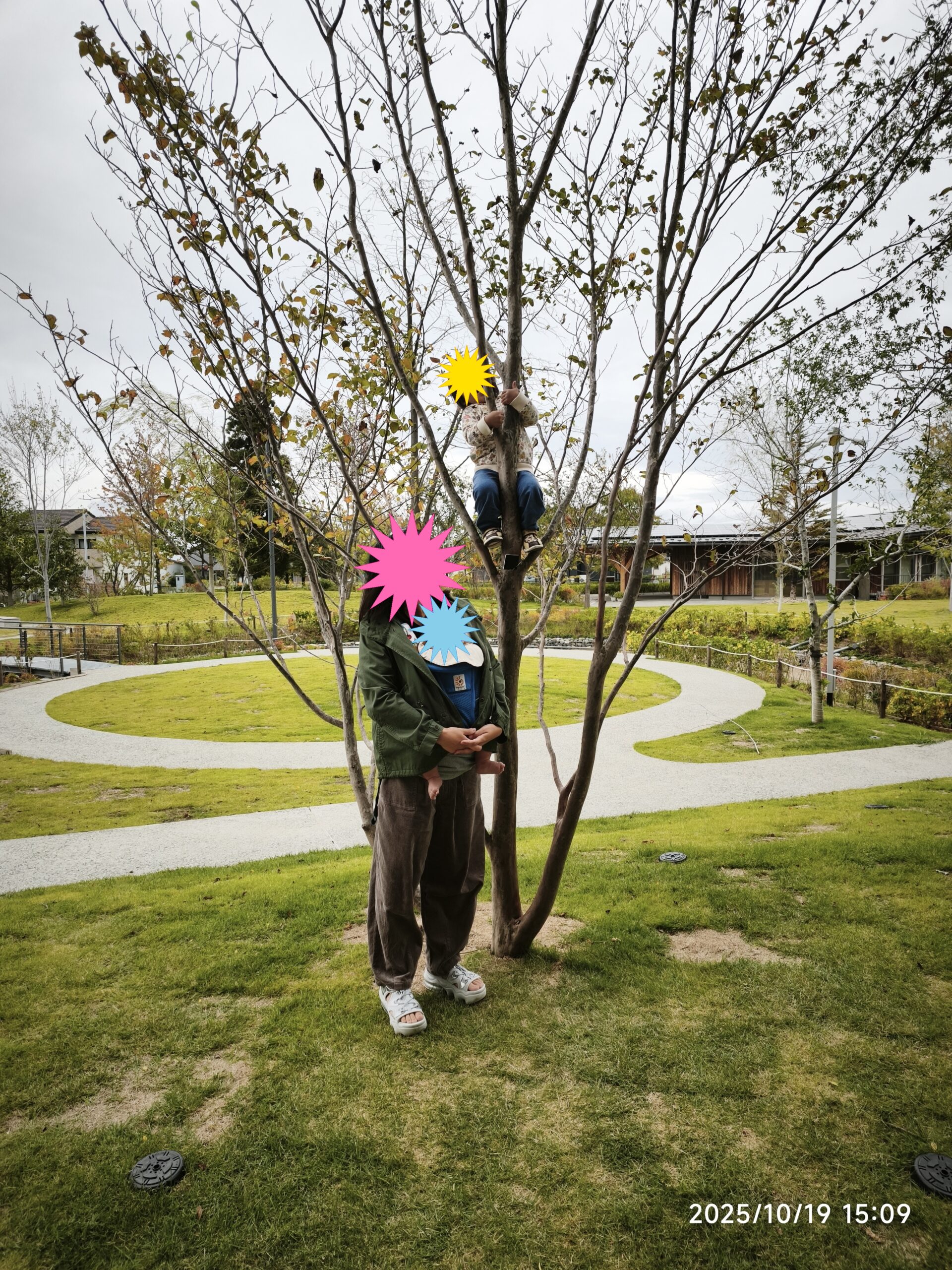 木登りに挑戦する様子